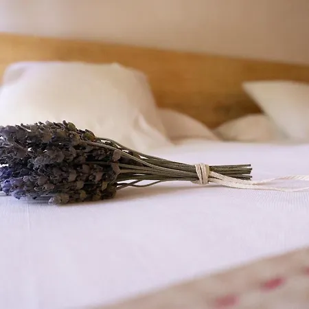 펜션 Casa Bancales